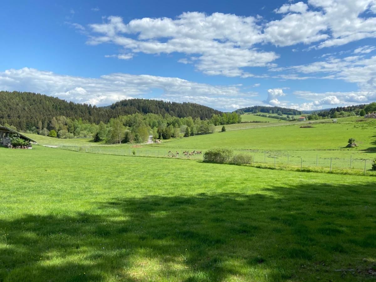 Ferienhaus Plattenstein Kirchberg  Exteriör bild
